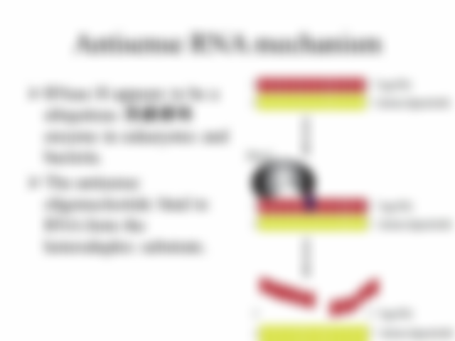 Antisense+RNA+mechanism.jpg#s-960,720