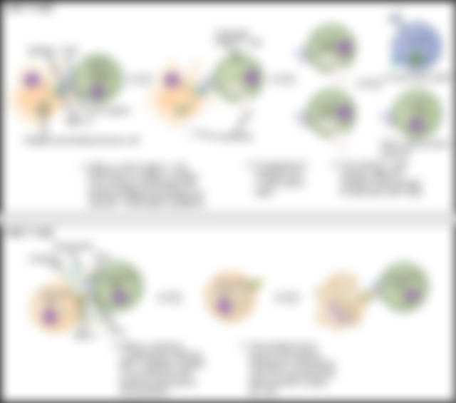 Difference-Between-Cytotoxic-T-Cells-and-Helper-T-Cells_Figure-2.jpg#s-680,600